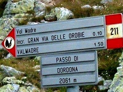 Ortotteri delle Orobie valtellinesi (Sondrio)